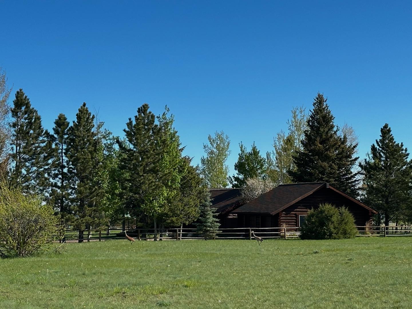 AAA Red Lodge Rentals | Red Lodge MT