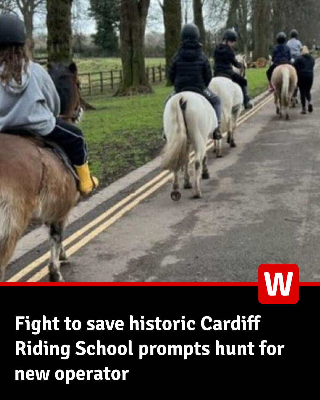 WalesOnline - Set up 50 years ago, Cardiff Riding School is the only ...