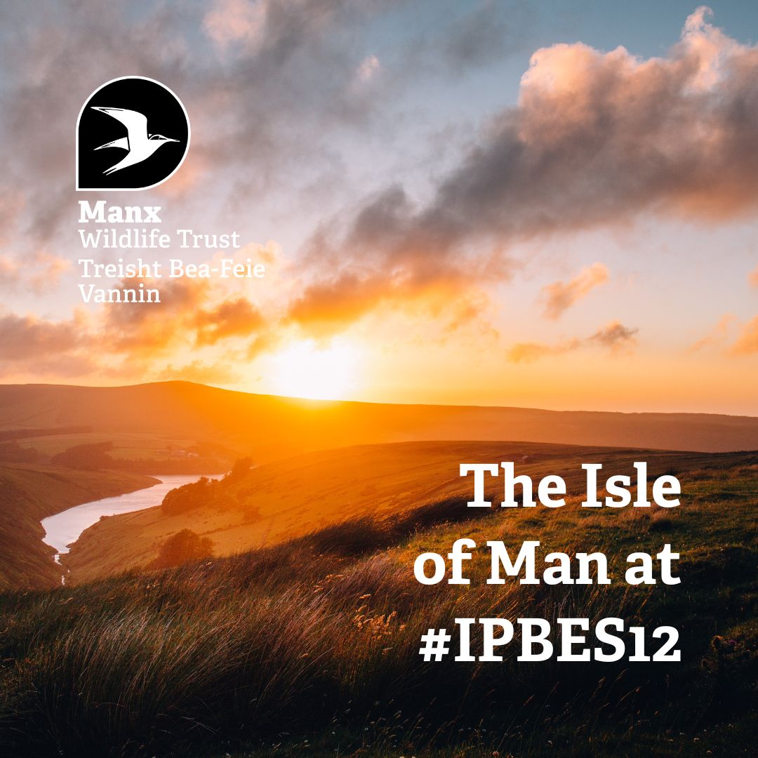 Manx - 🌍 The Isle of Man at the global biodiversity table Our CEO ...