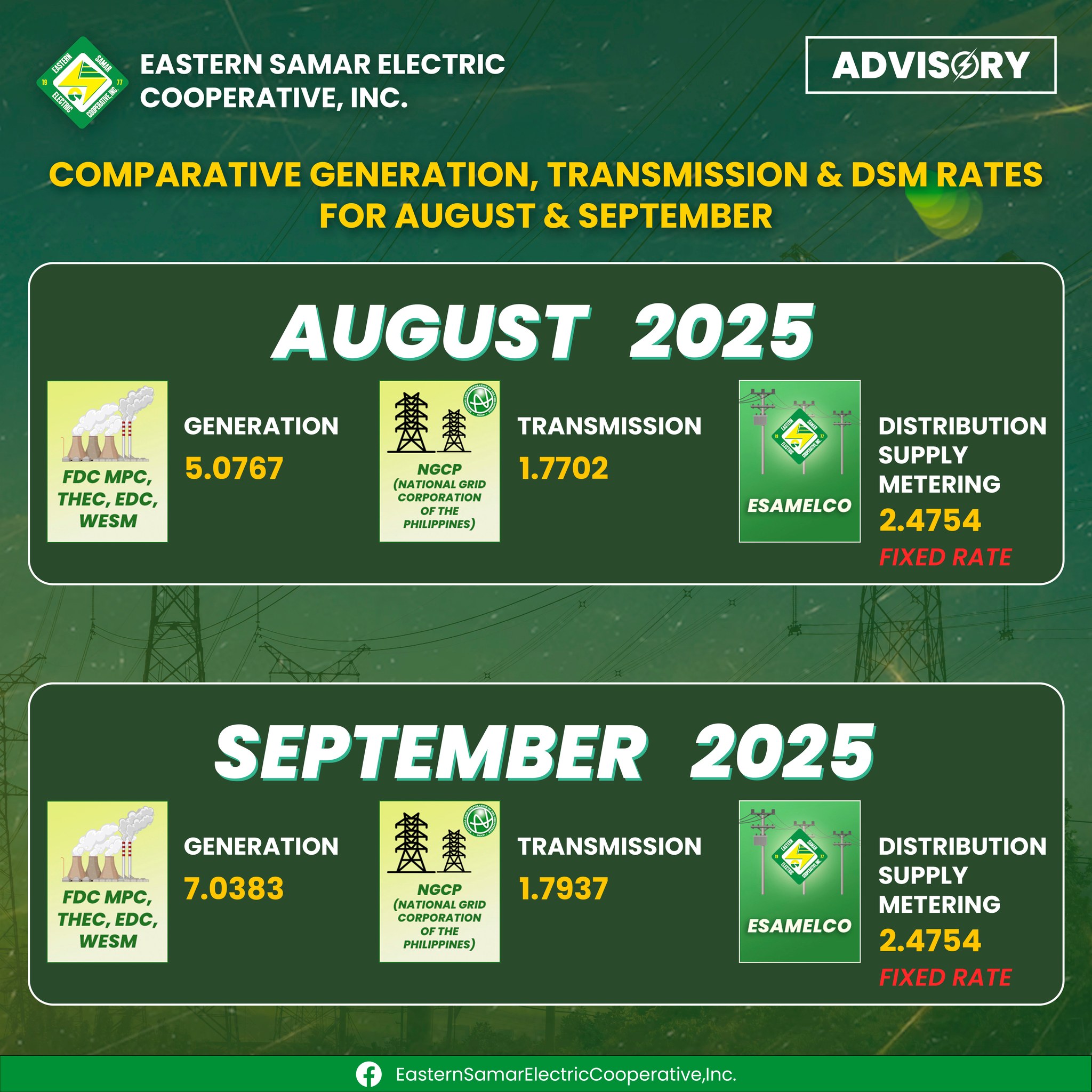 Eastern Samar Electric Cooperative, Inc - Esamelco | Borongan
