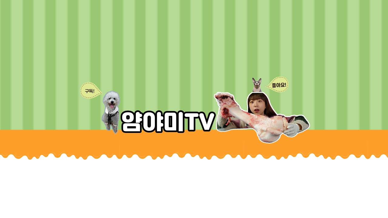 얌야미yamyamitv | New City NY