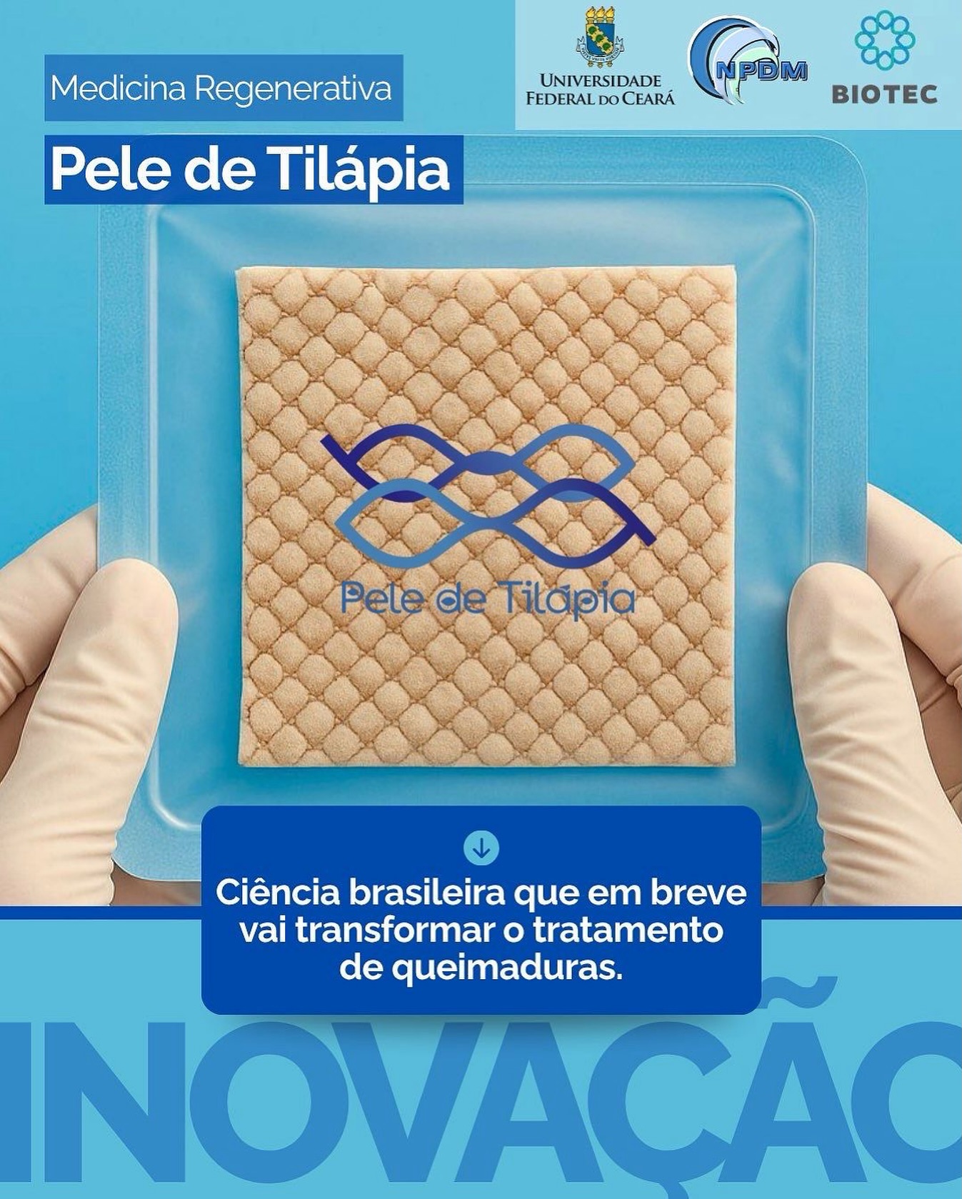 O Brasil deu mais um passo gigante na medicina regenerativa! A ...