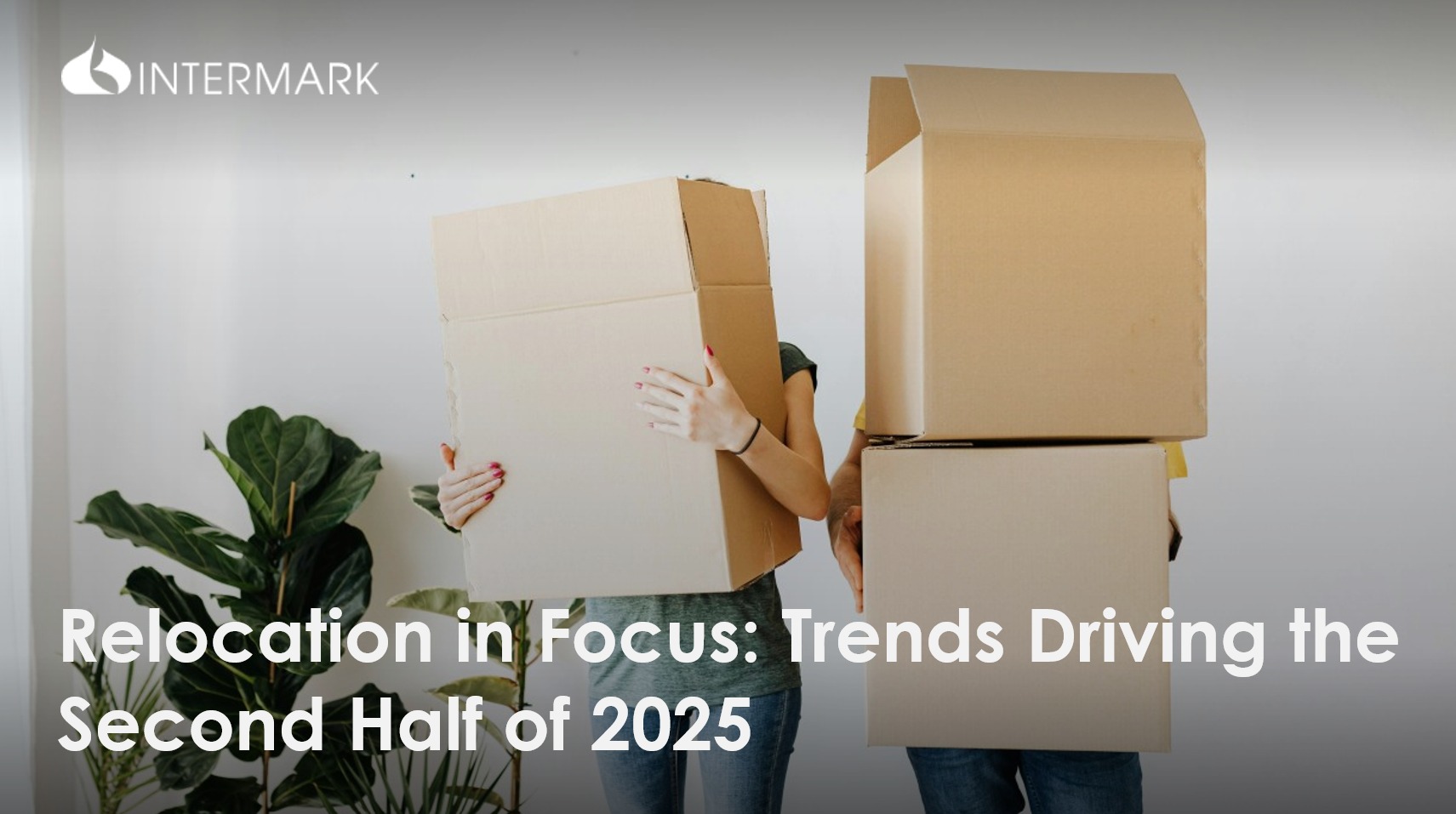 📊 What’s really driving relocation... - Intermark Relocation | Facebook