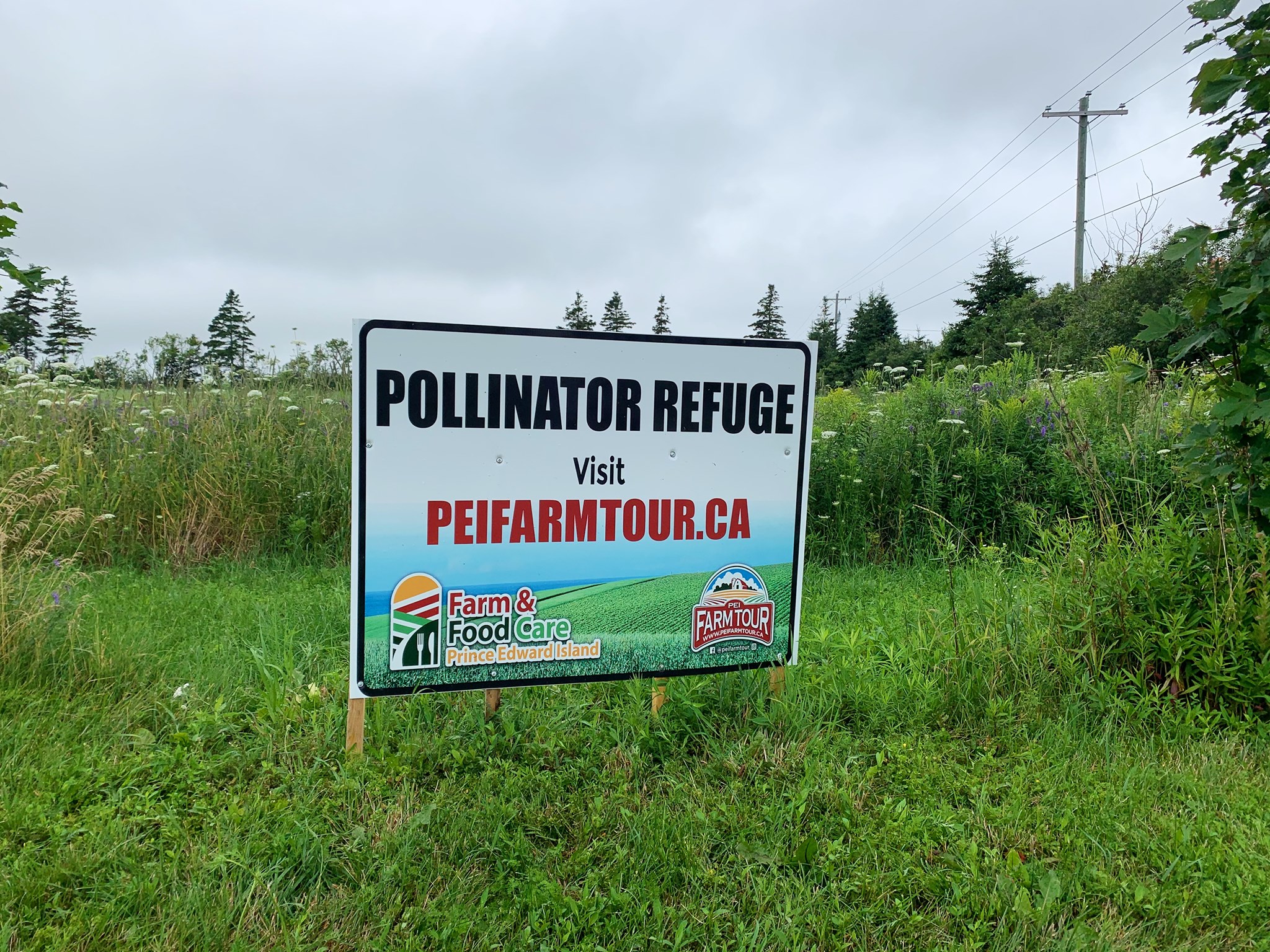 PEI Farm Tour
