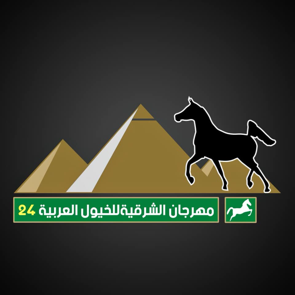 مهرجان الشرقيه الدولى للخيول العربيه Home Facebook