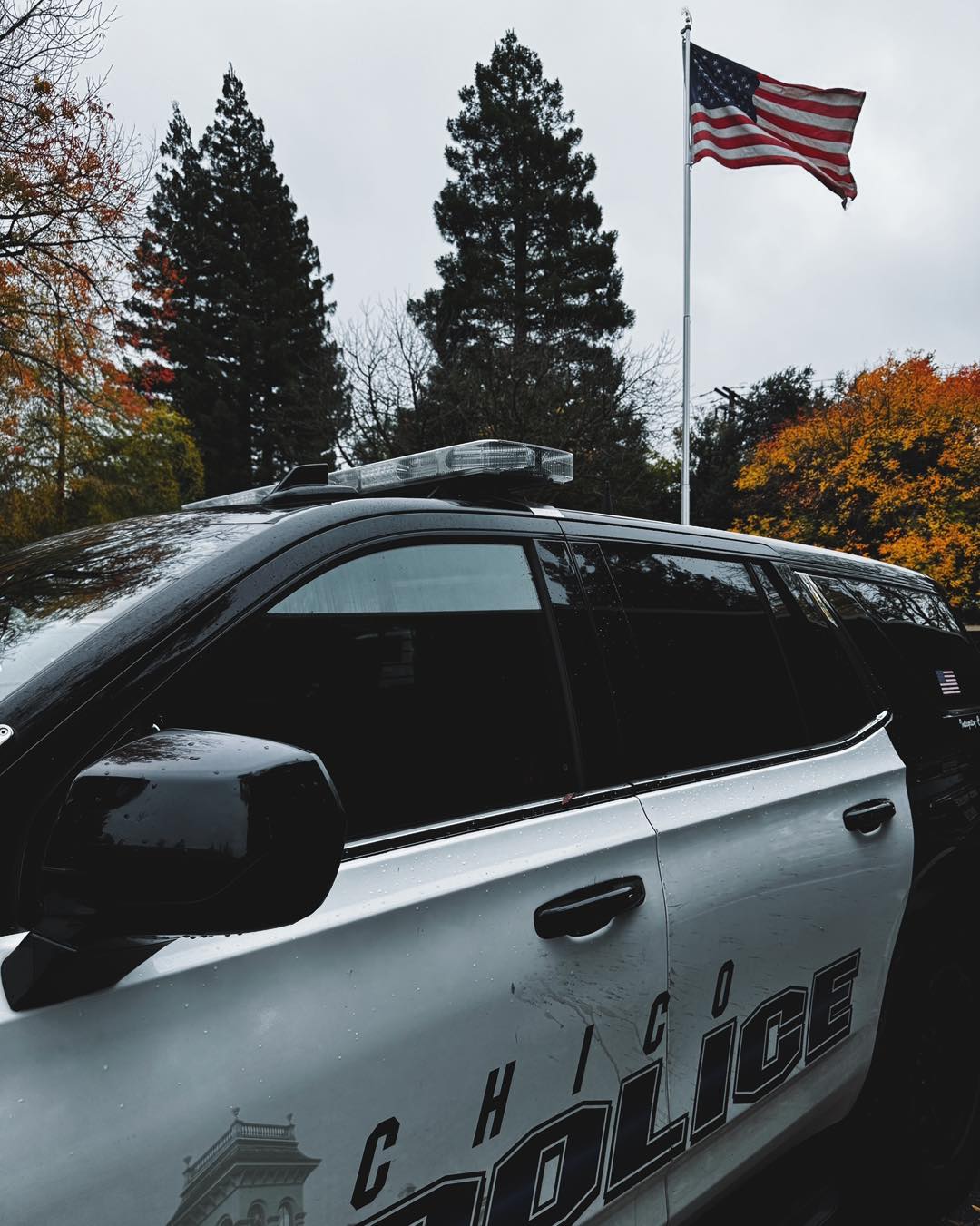 Chico - Each year on November 11, we join the nation in observance of ...
