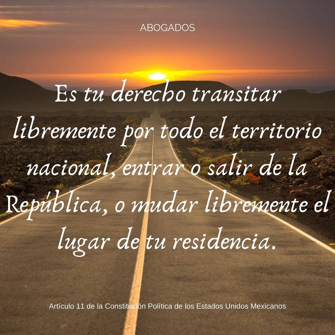 Abogados M & L - #estuderecho transitar libremente por...
