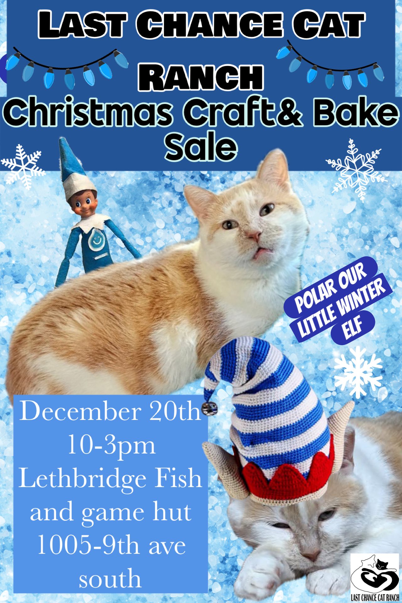 Last Chance Cat Ranch Lethbridge - Ophelia and Oliver were born to ...