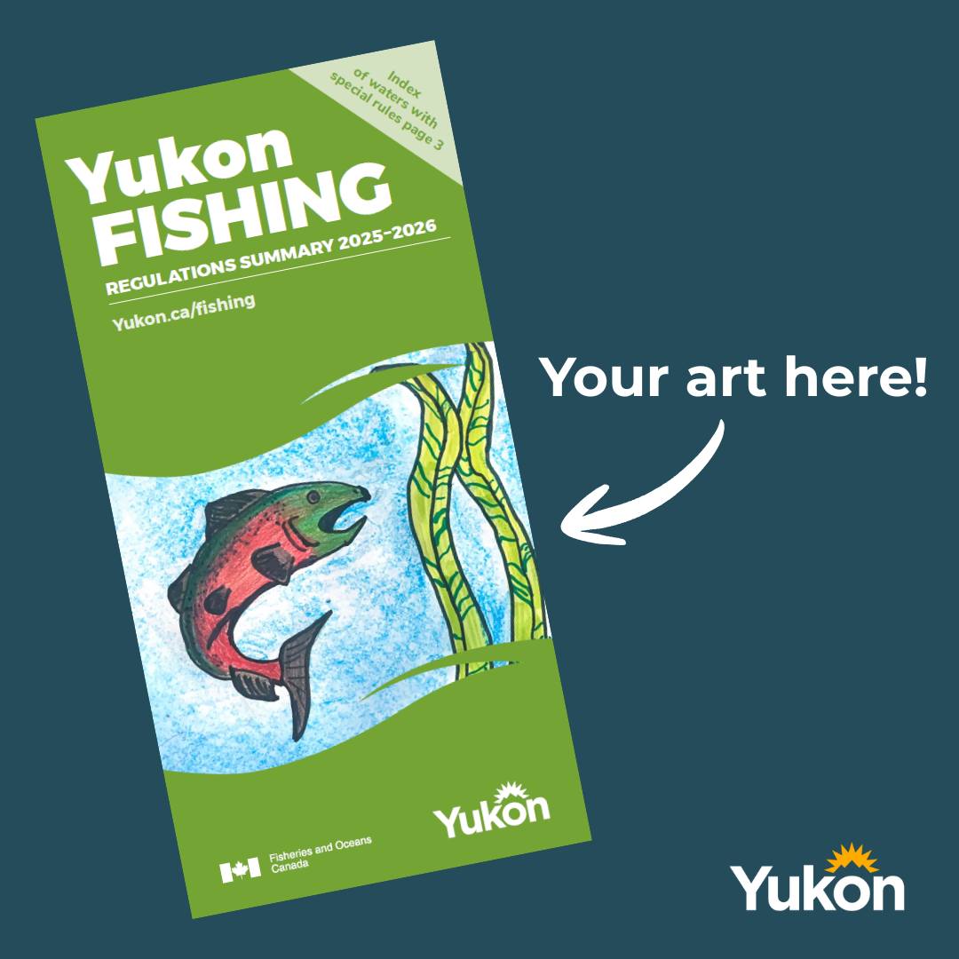 Yukon Environment | Whitehorse YT