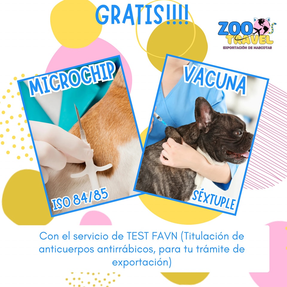 ZooTravel - ¿Porque está requerido la prueba FAVN para mi mascota ...