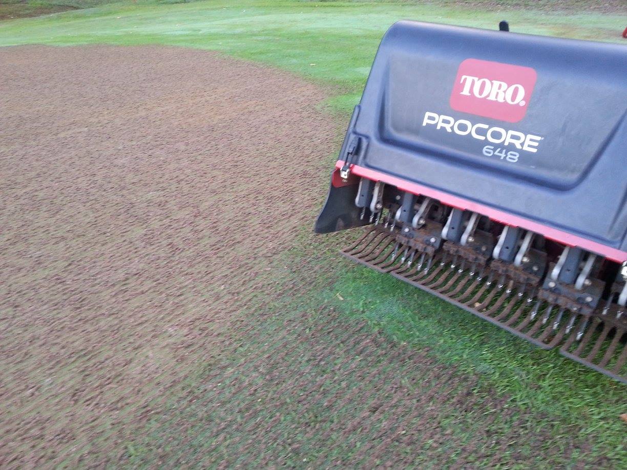 Dynamic Turf Management | Noosa QLD