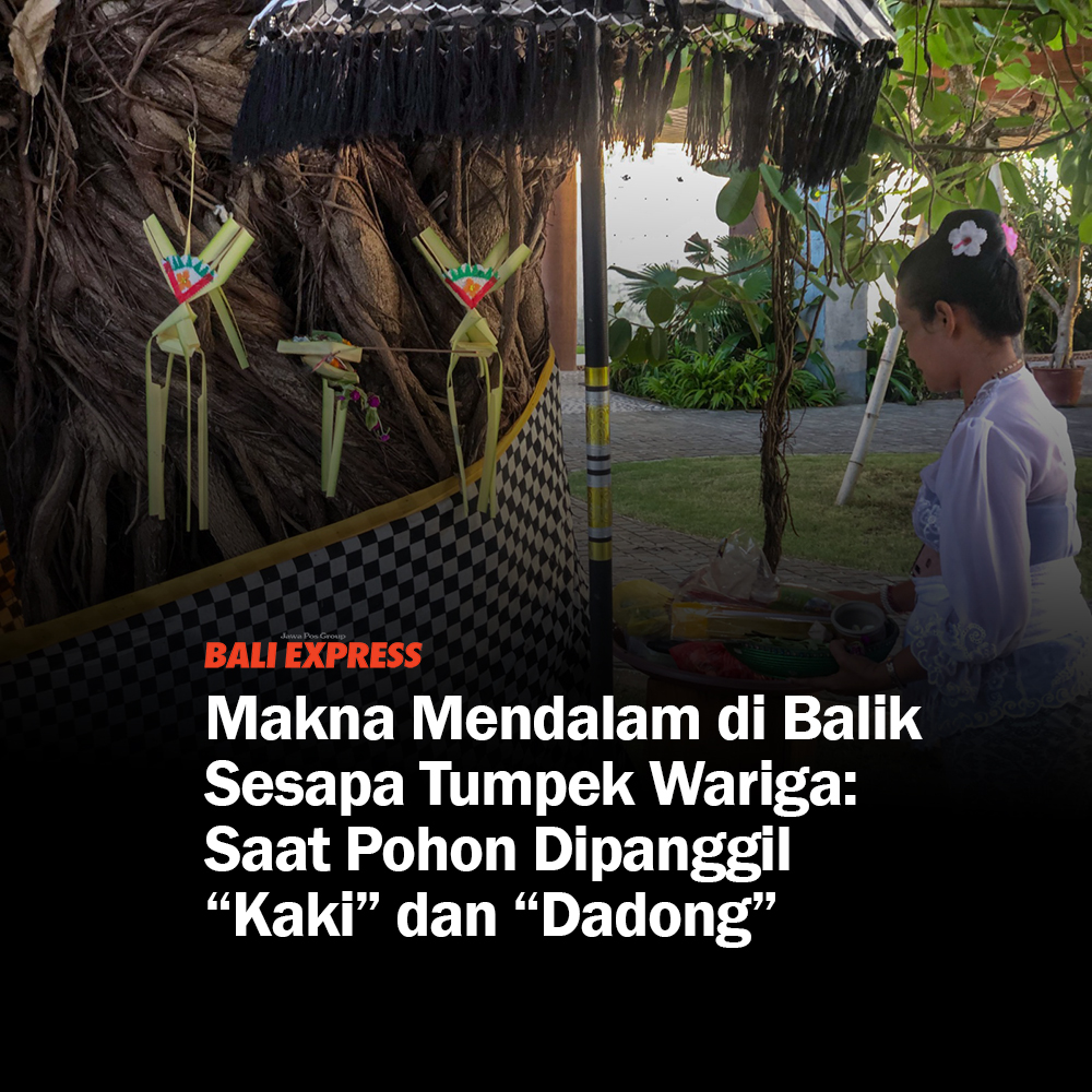 Koran - 🌿 Makna Mendalam di Balik Sesapa Tumpek Wariga: Saat Pohon ...