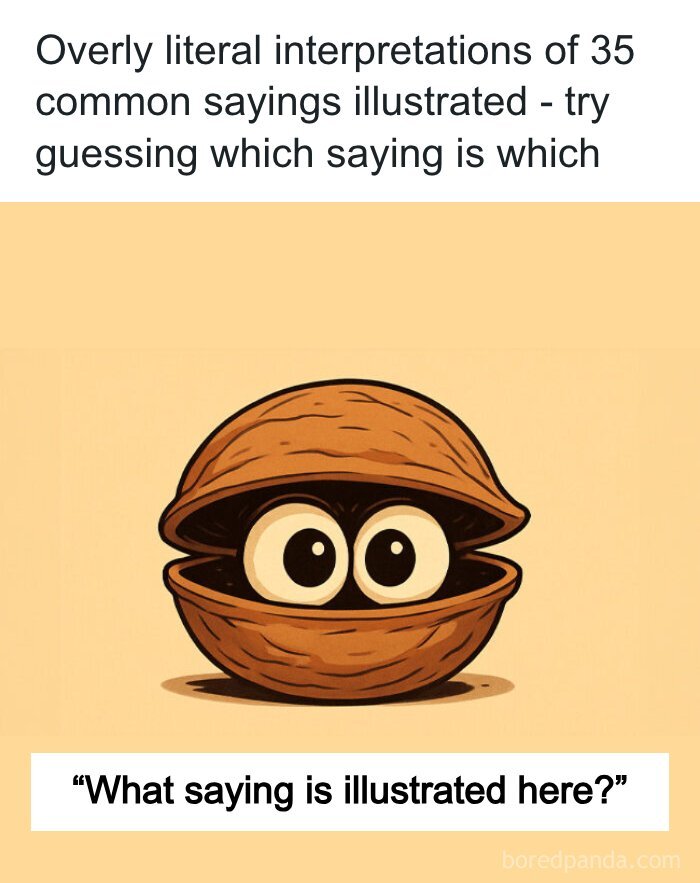 Bored - Overly literal interpretations of 35 common sayings illustrated ...