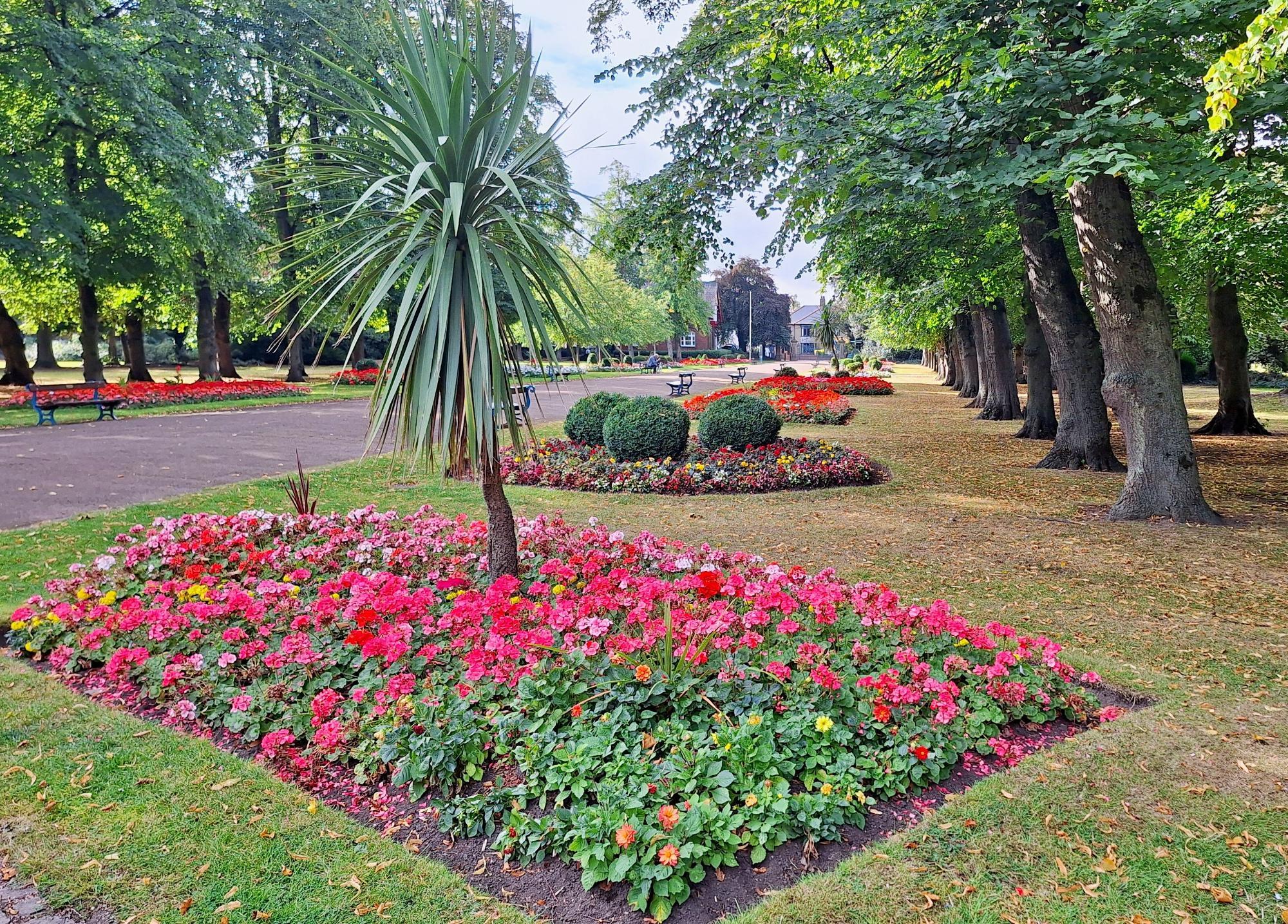 Darlington - Welcome to the new week! 📷 Flower beds in Ropner Park, by ...