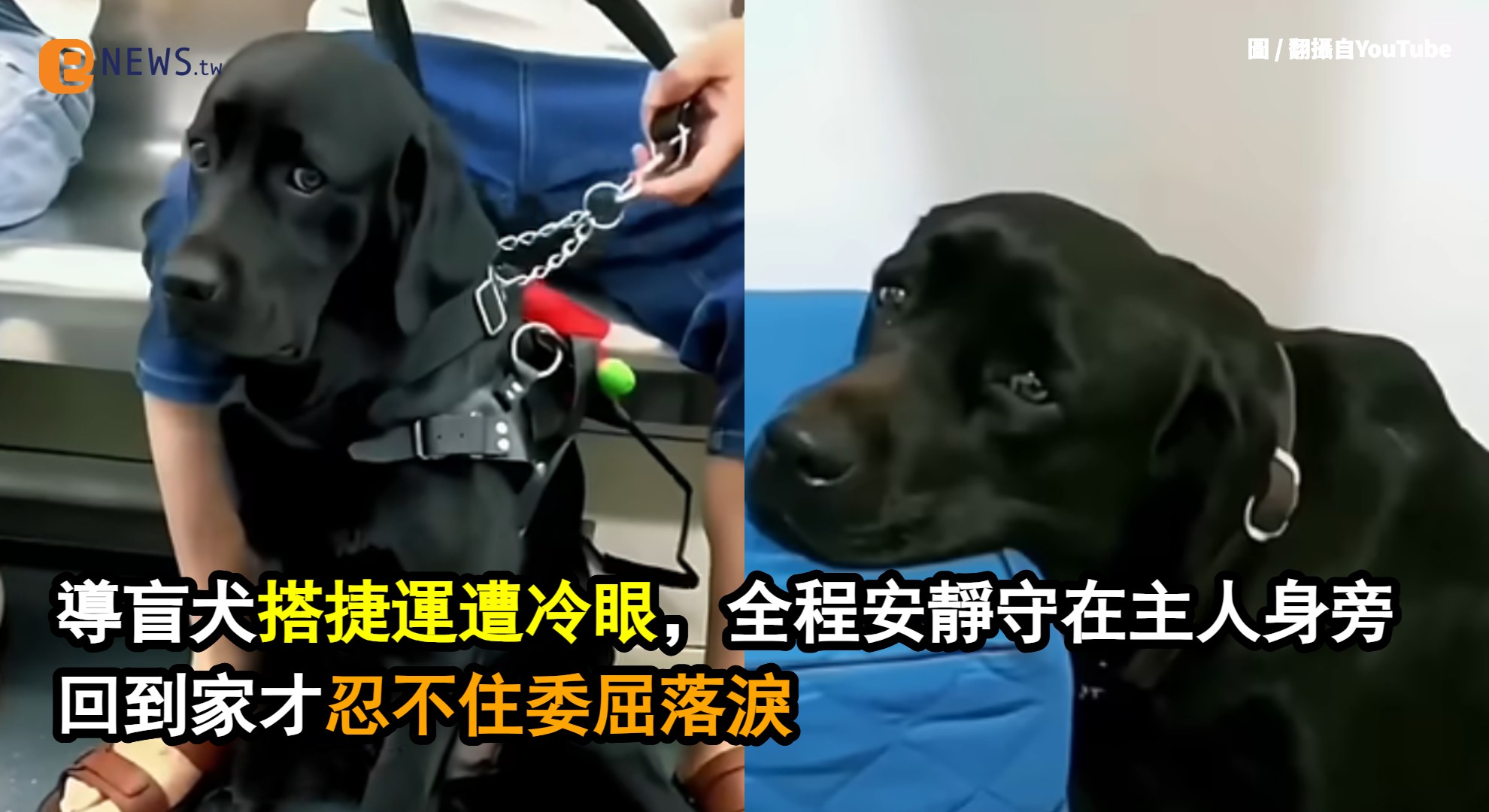 寵物資訊粉絲團 - 🐾導盲犬搭捷運被嫌「臭」？牠忍到回家才落淚，網友看了都心碎… 你能想像嗎？一隻認真工作的導盲犬，在捷運上竟然被乘客指著罵 ...