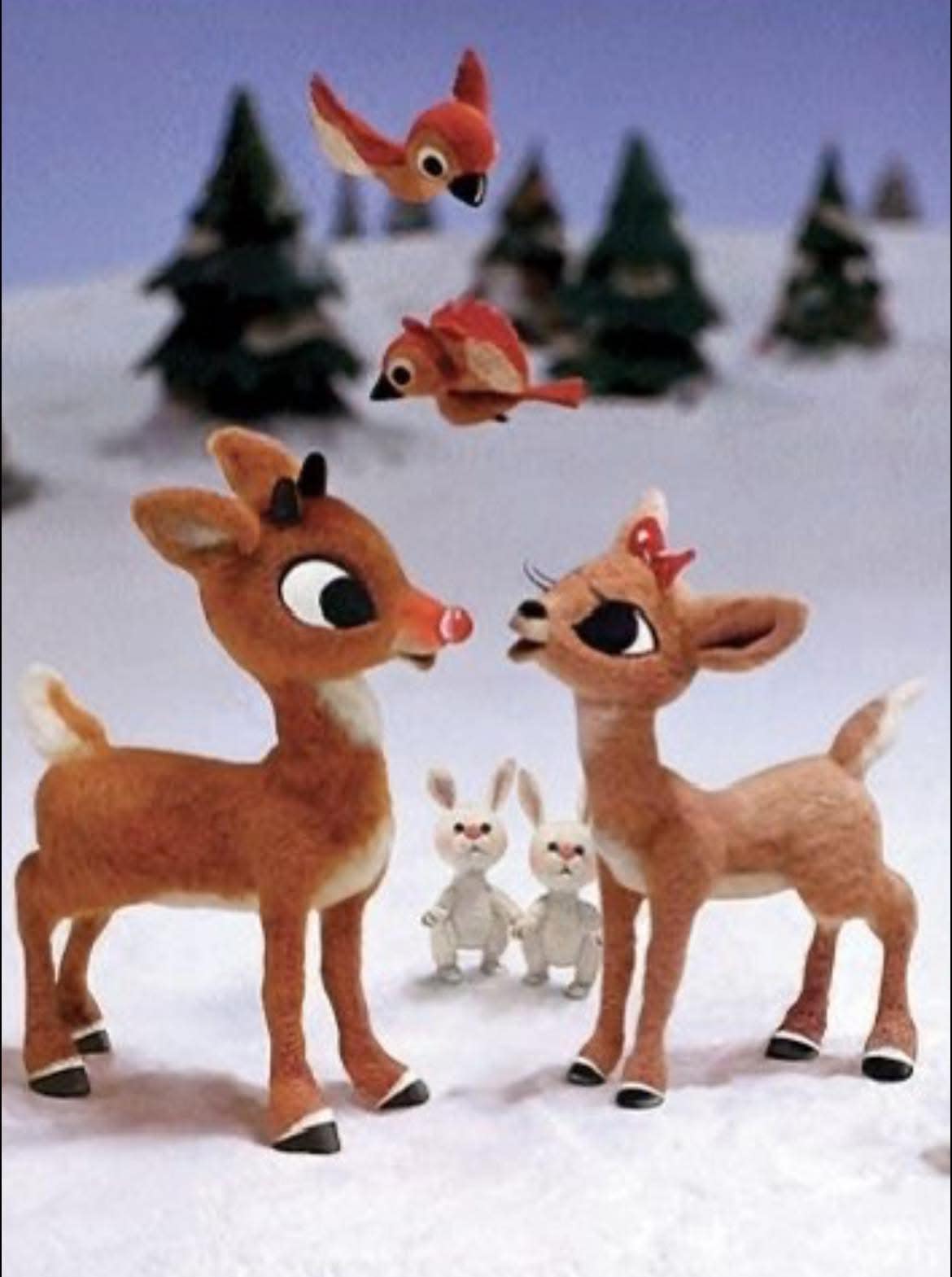 ️ ️Sweet moment with Rudolph &... - Chocolate Box Cottage | Facebook