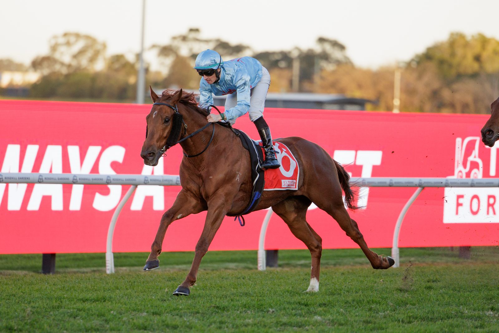 Snowden Racing - 🏆 Save the best until last as King Of... | Facebook