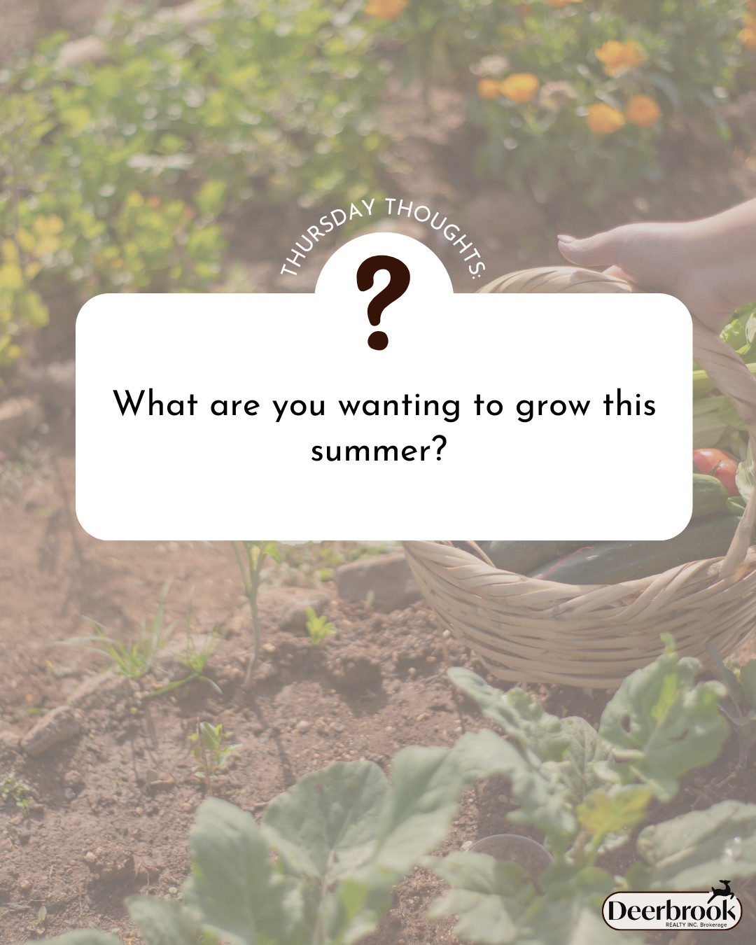 Fruits? Veggies? What do you want... - Deerbrook Realty Inc. | Facebook