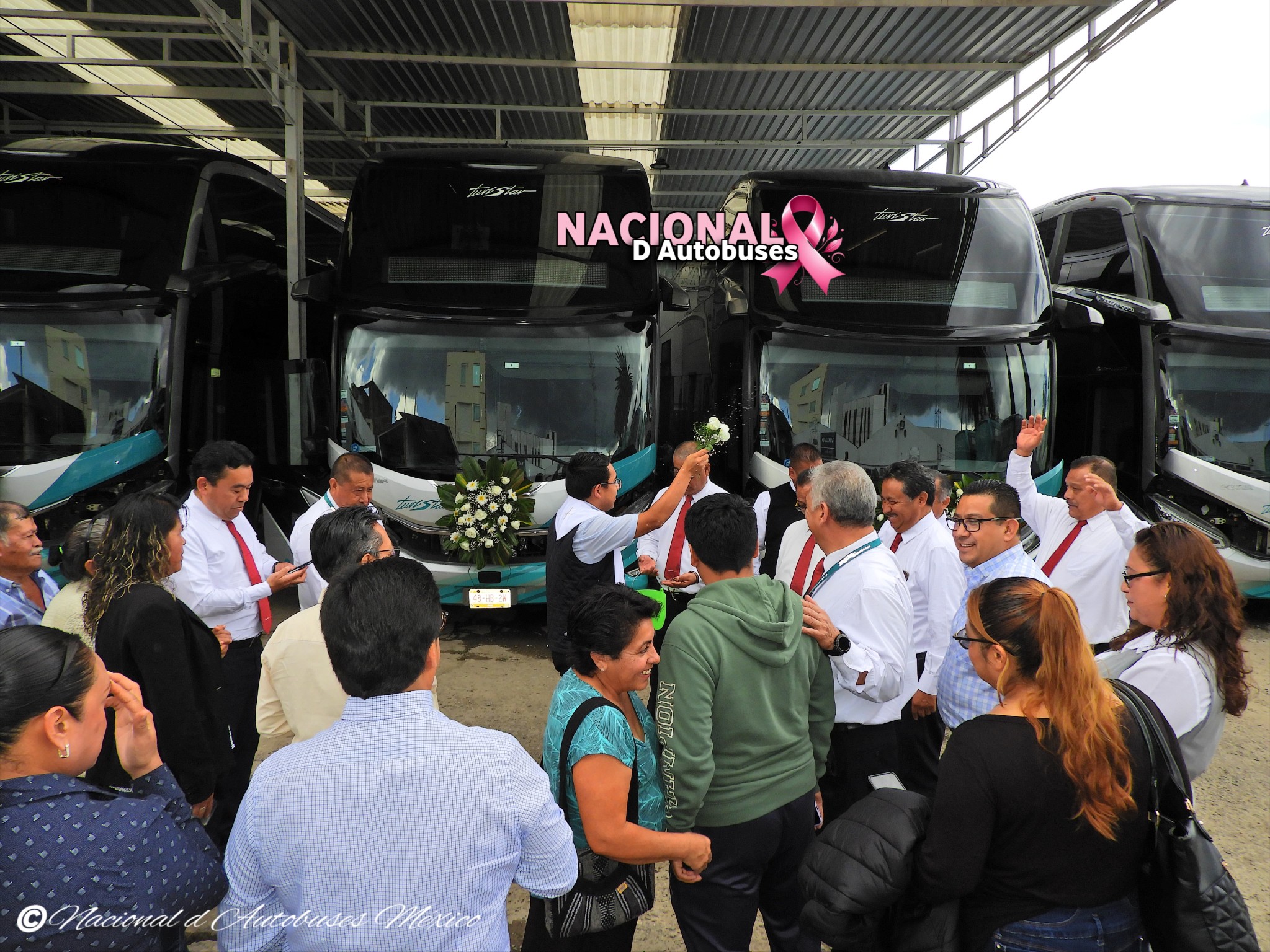 Buses de México - Autobus Armable Volvo 9800 Autobus De Oriente ADO ...