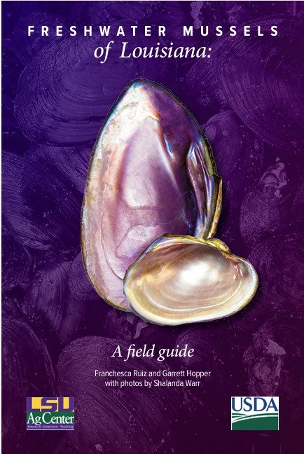 LSU - 🚨New Publication Alert! We recently released a brand-new ...