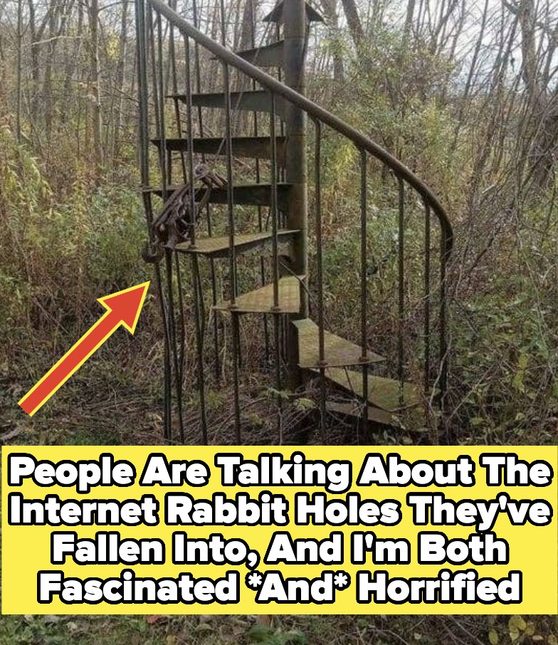 BuzzFeed - What's the weirdest internet rabbit hole you've fallen into ...
