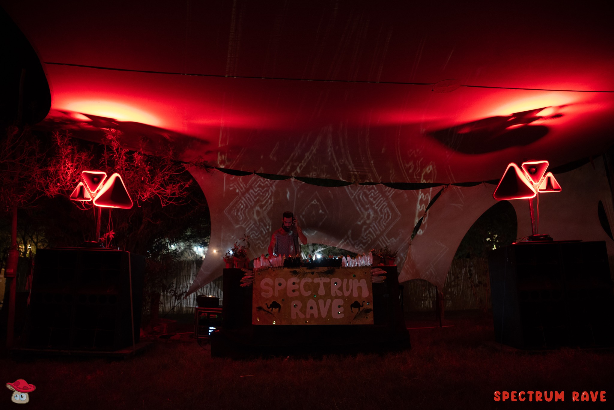 Spectrum Rave