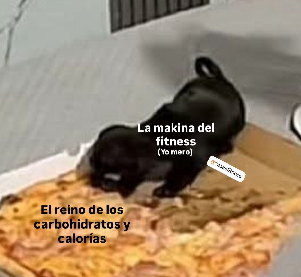 Aldo Alan Matias Marroquin