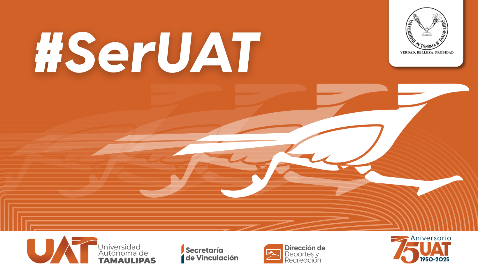 Correcaminos UAT... - Correcaminos UAT Liga Mayor Oficial
