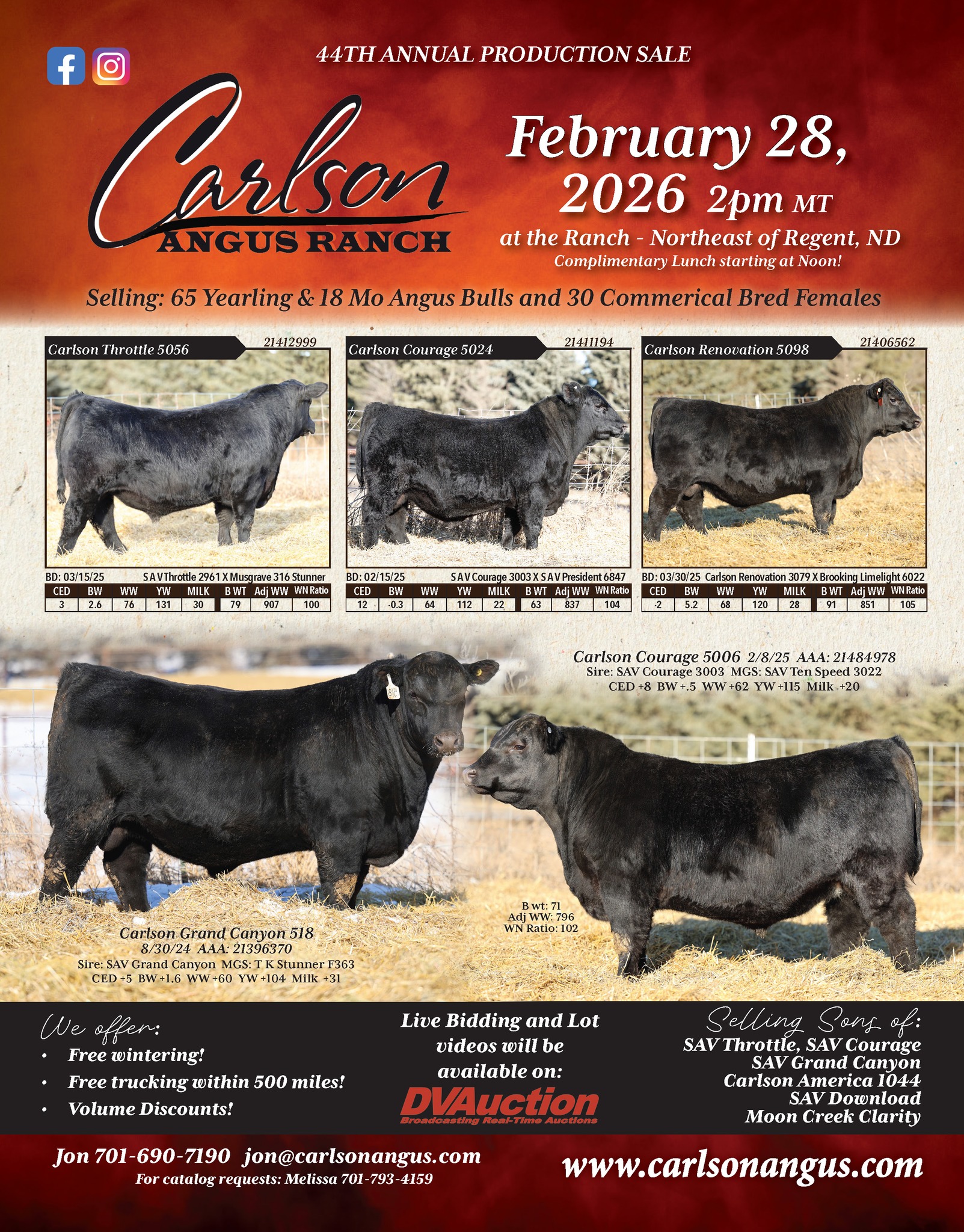 Carlson Angus Ranch | Regent ND