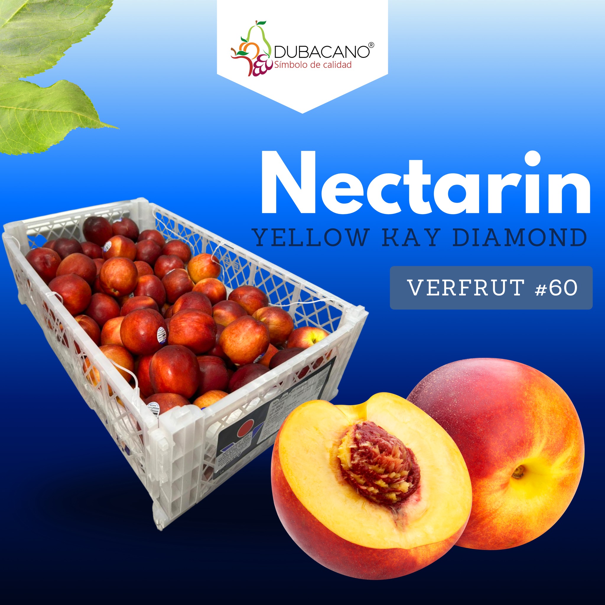 Dubacano - 🍑 NECTARIN YELLOW KAY DIAMOND 🍑 Calidad que se ve y se ...