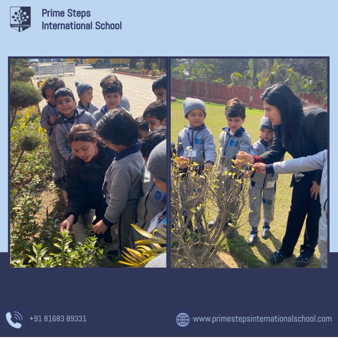 Prime Steps International School