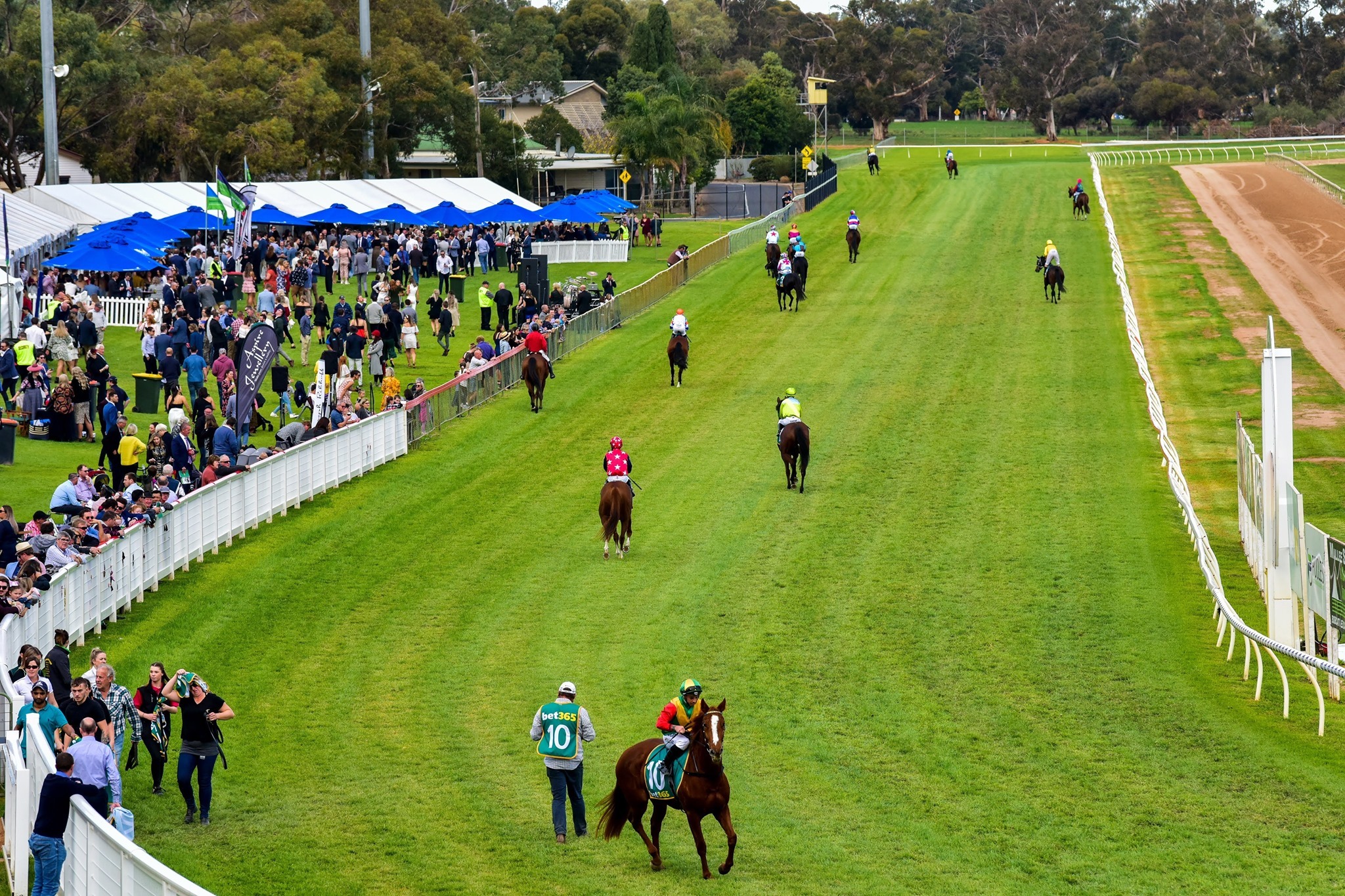 Swan Hill June Racing Carnival