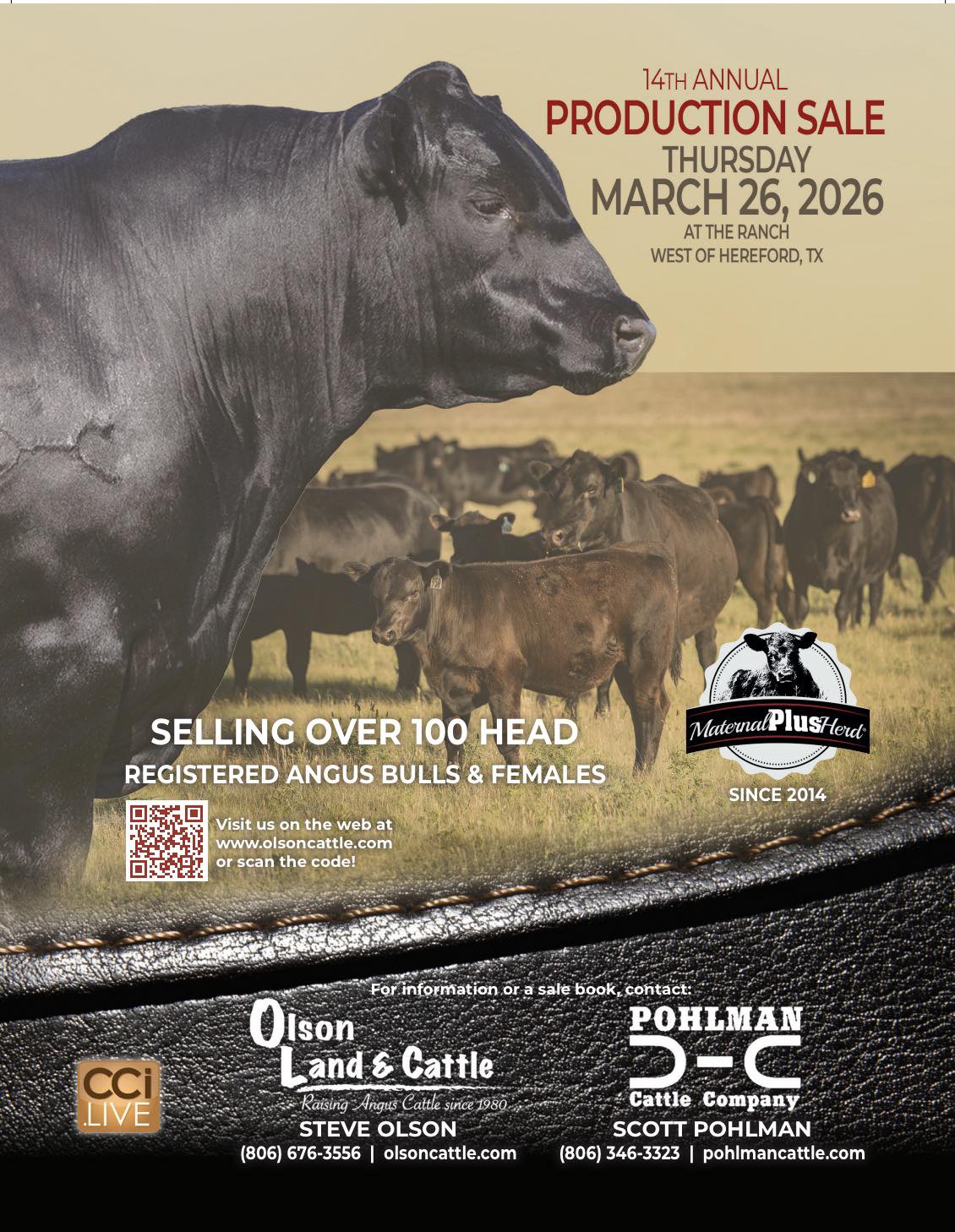 Pohlman Cattle Company | Hereford TX