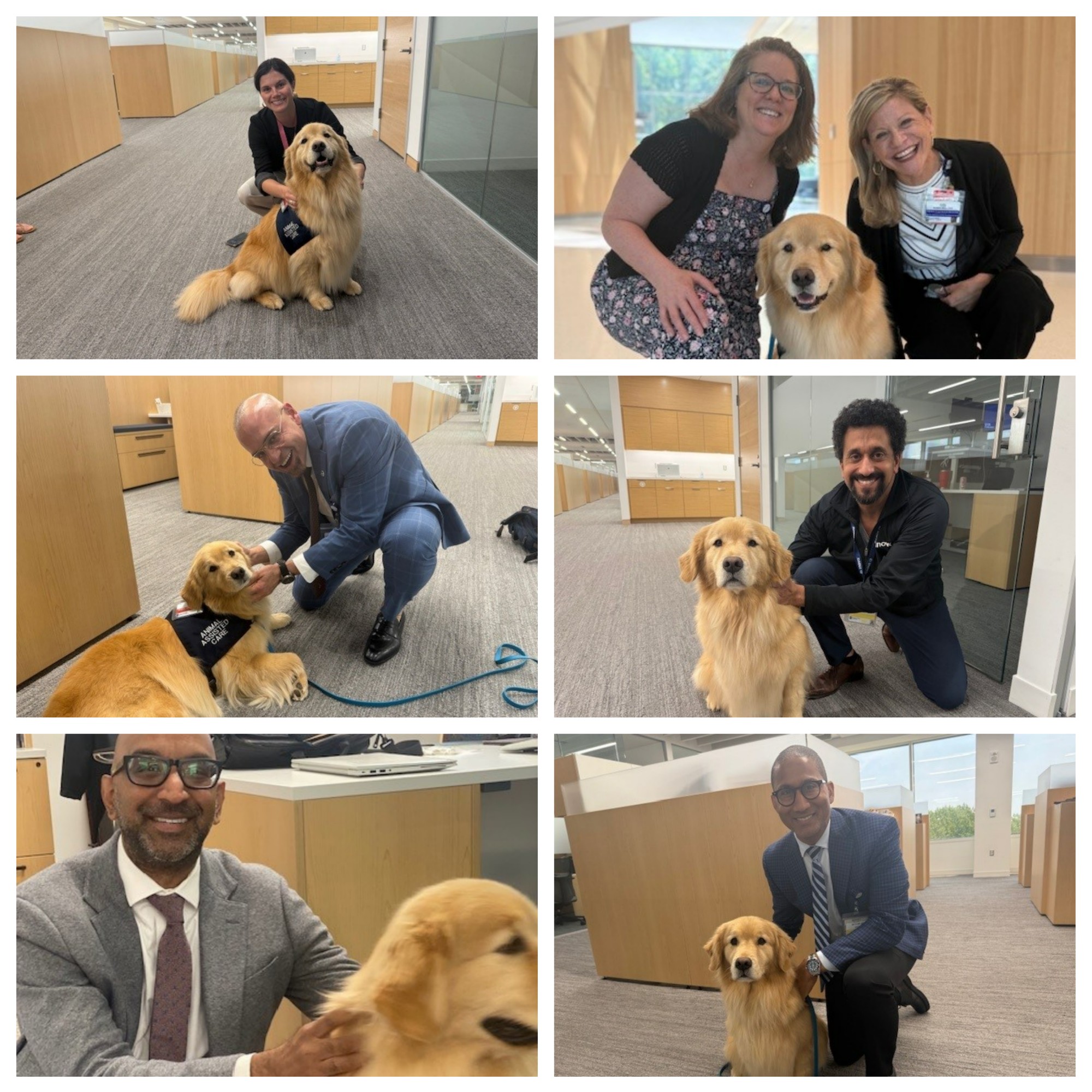 Inova - 🐶 Meet Zoey! She's not just adorable, she’s part of the Inova ...