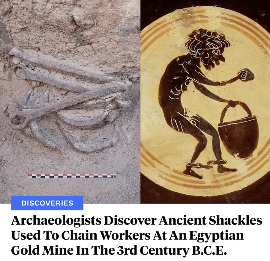 All - French researchers have unearthed disturbing artifacts in Egypt's ...