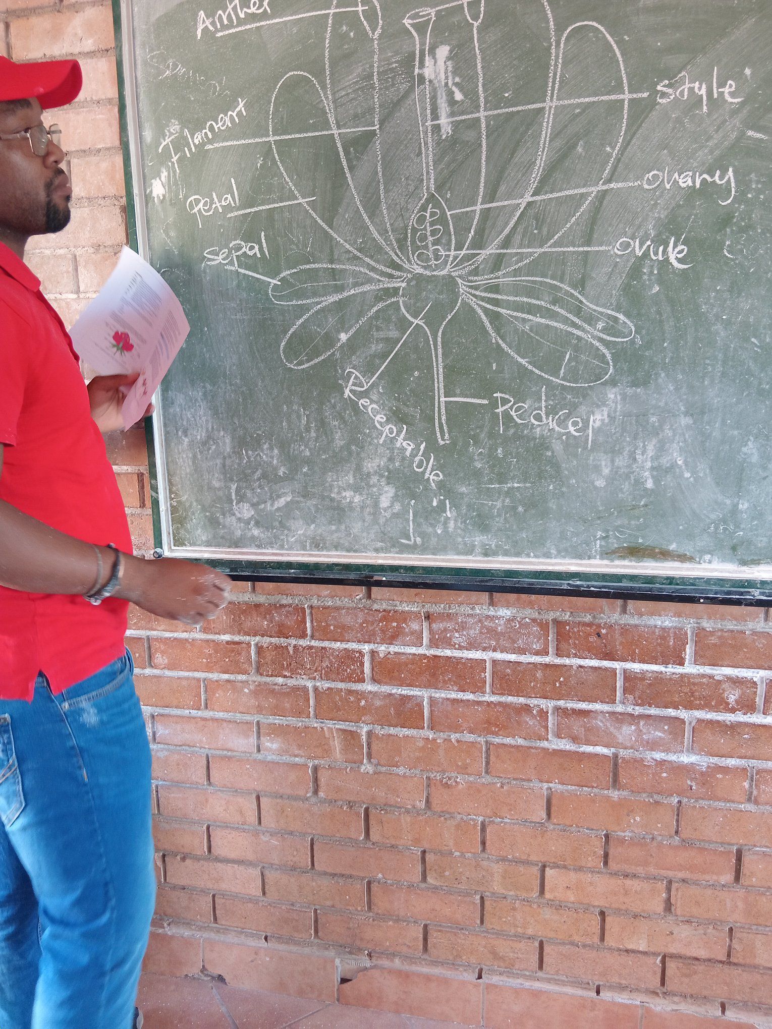 Mphanama Maths and Science Clinic | Ga-Sekhukhune