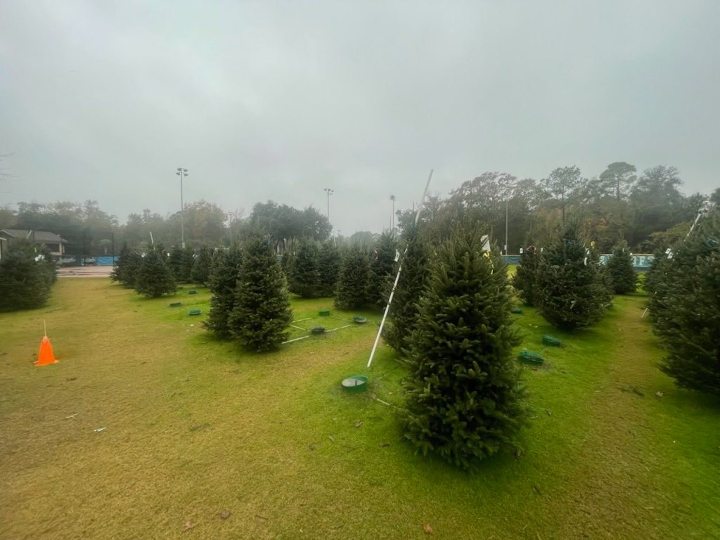 Sugar Mountain Farms | Hilton Head Island SC