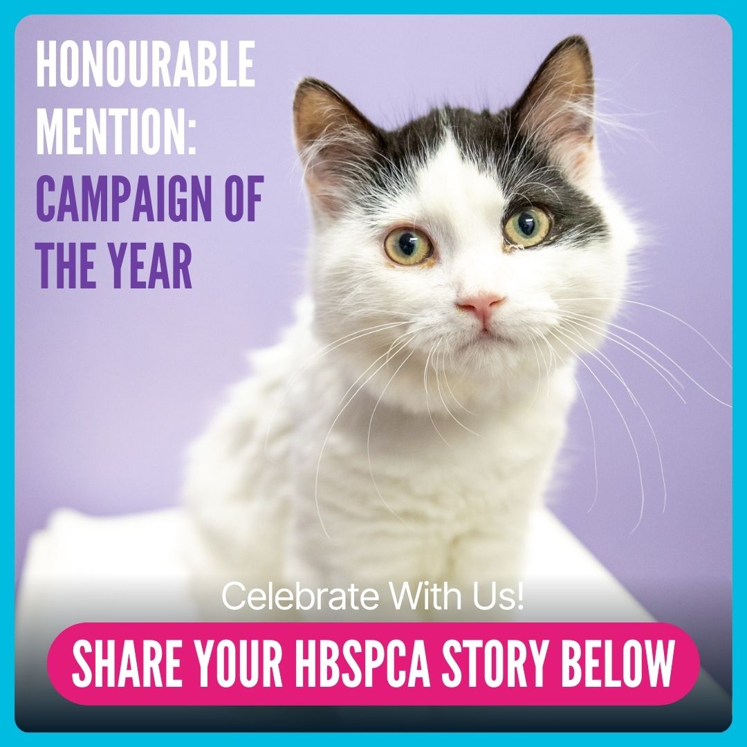 We’re honoured to be named an... - Hamilton/Burlington SPCA | Facebook