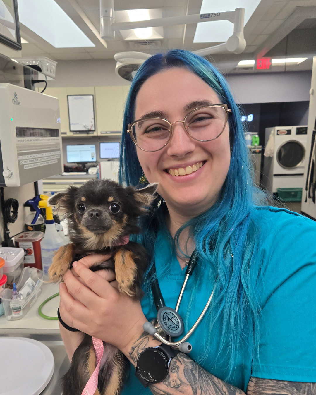 Shadow Ridge Veterinary Hospital & Urgent Care | Connelly Springs NC