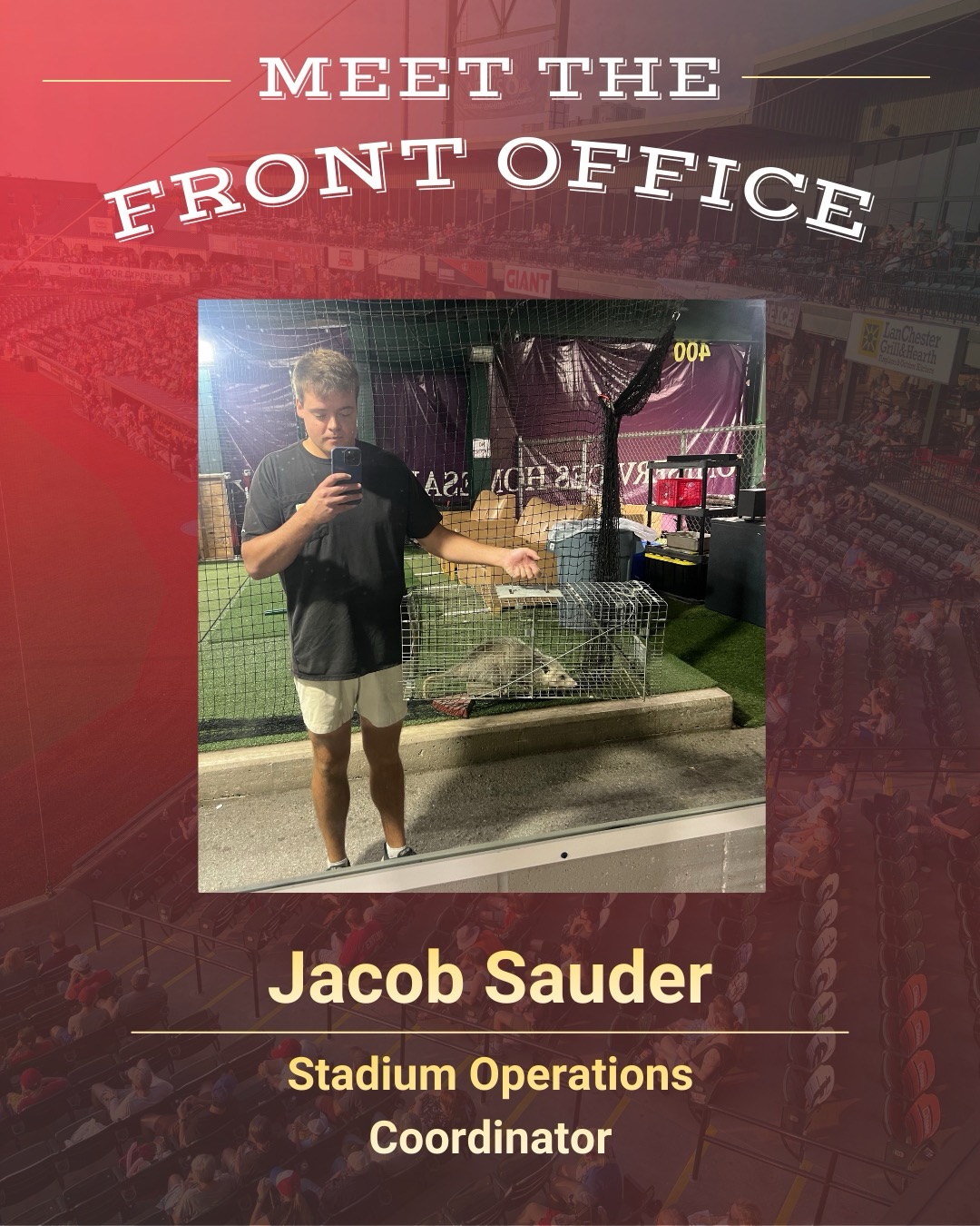 Meet The Front Office👋 Next up is... - Lancaster Stormers | Facebook