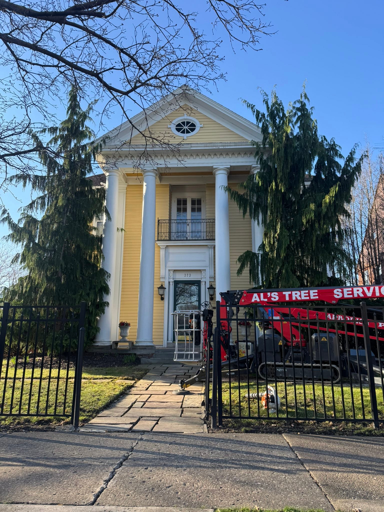 Al's Tree Service | Tonawanda NY