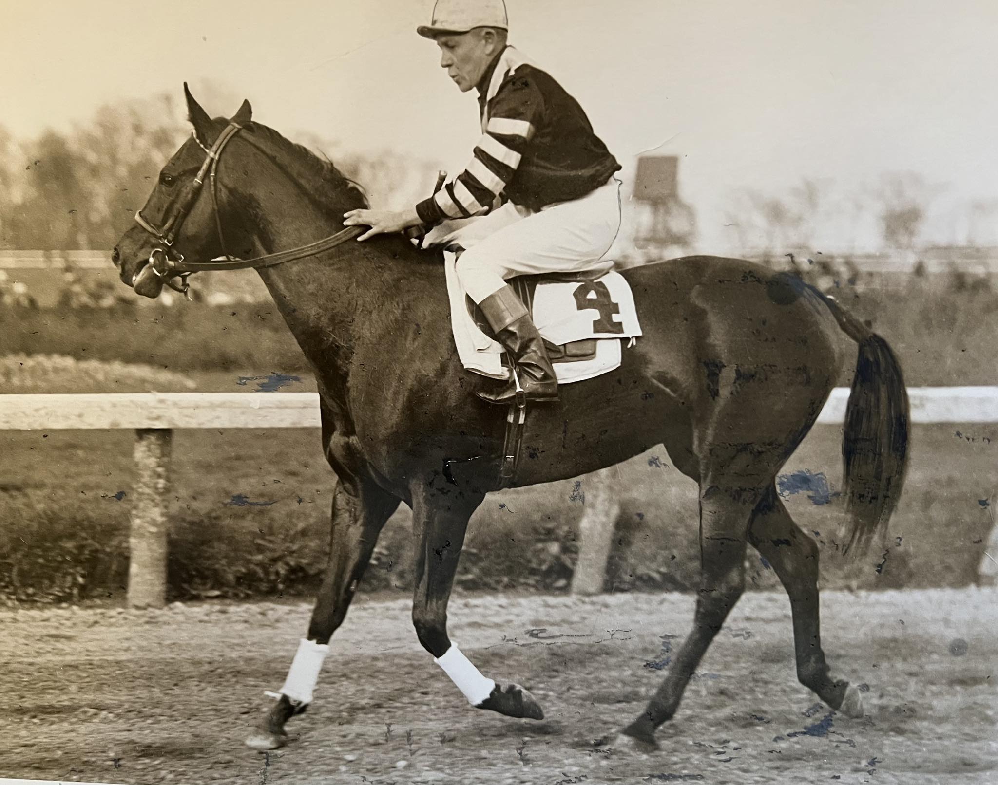 horse-this-is-an-original-1937-photo-of-war-admiral-and-charley