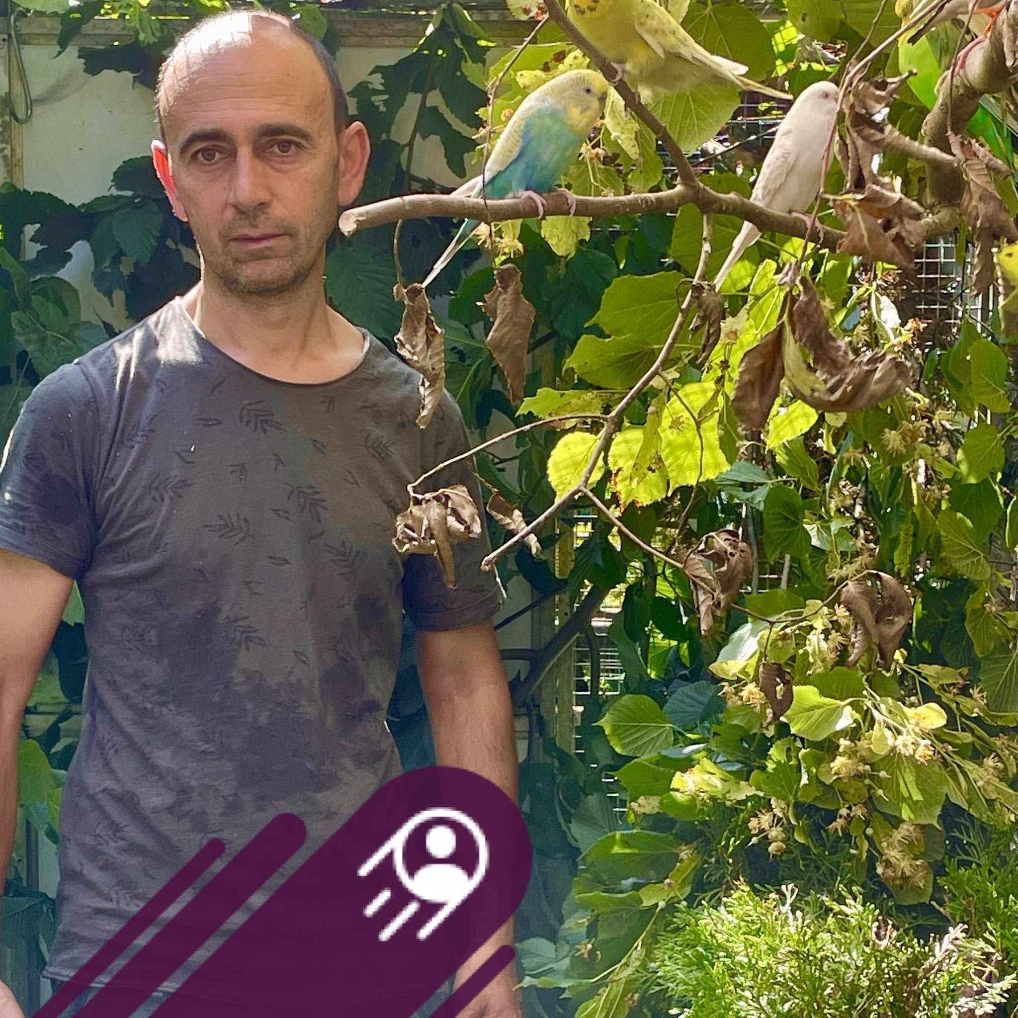 Werden die Kiwi noch? Derzeit 3 bis 4 cm gross und recht hart. | Facebook