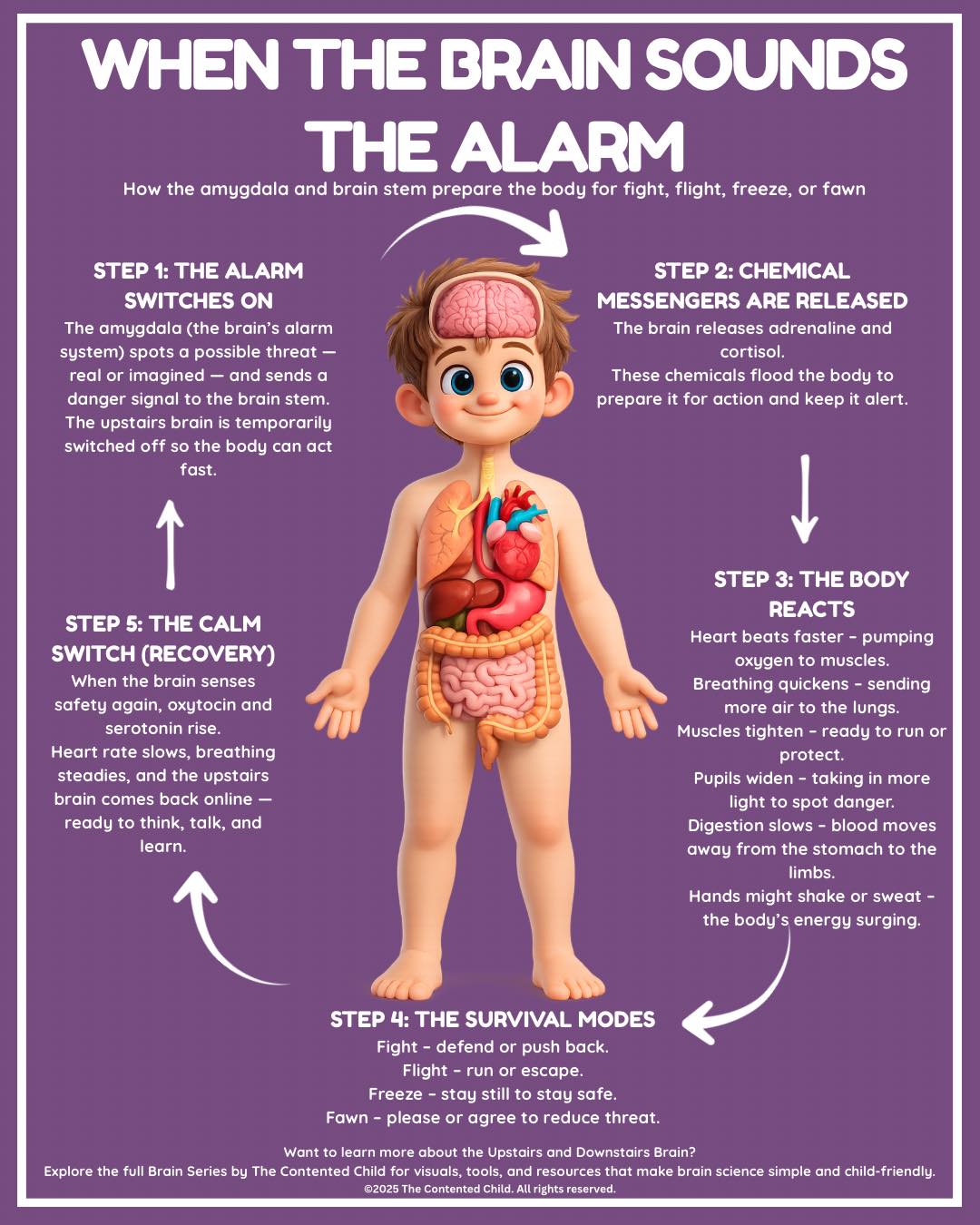 The Contented - When your child’s behaviour suddenly flips into “fight ...