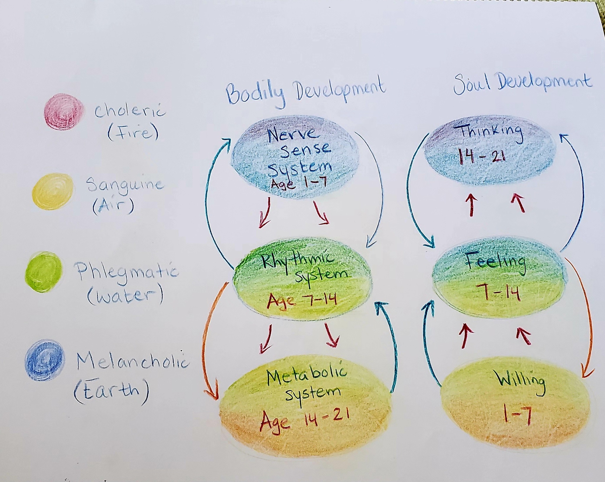 Waldorf - Bodily Development Soul Development 1. Physical Body The ...