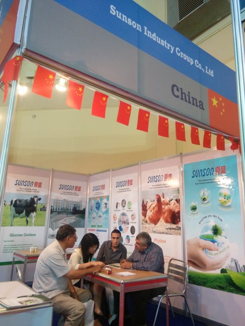 Sunson Industry Group Co., Ltd.