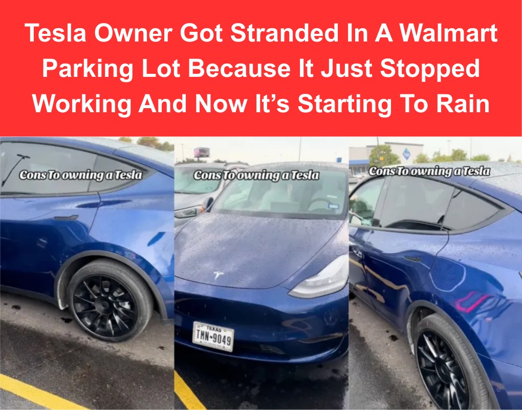 Did You Know - FULL STORY:... | Facebook
