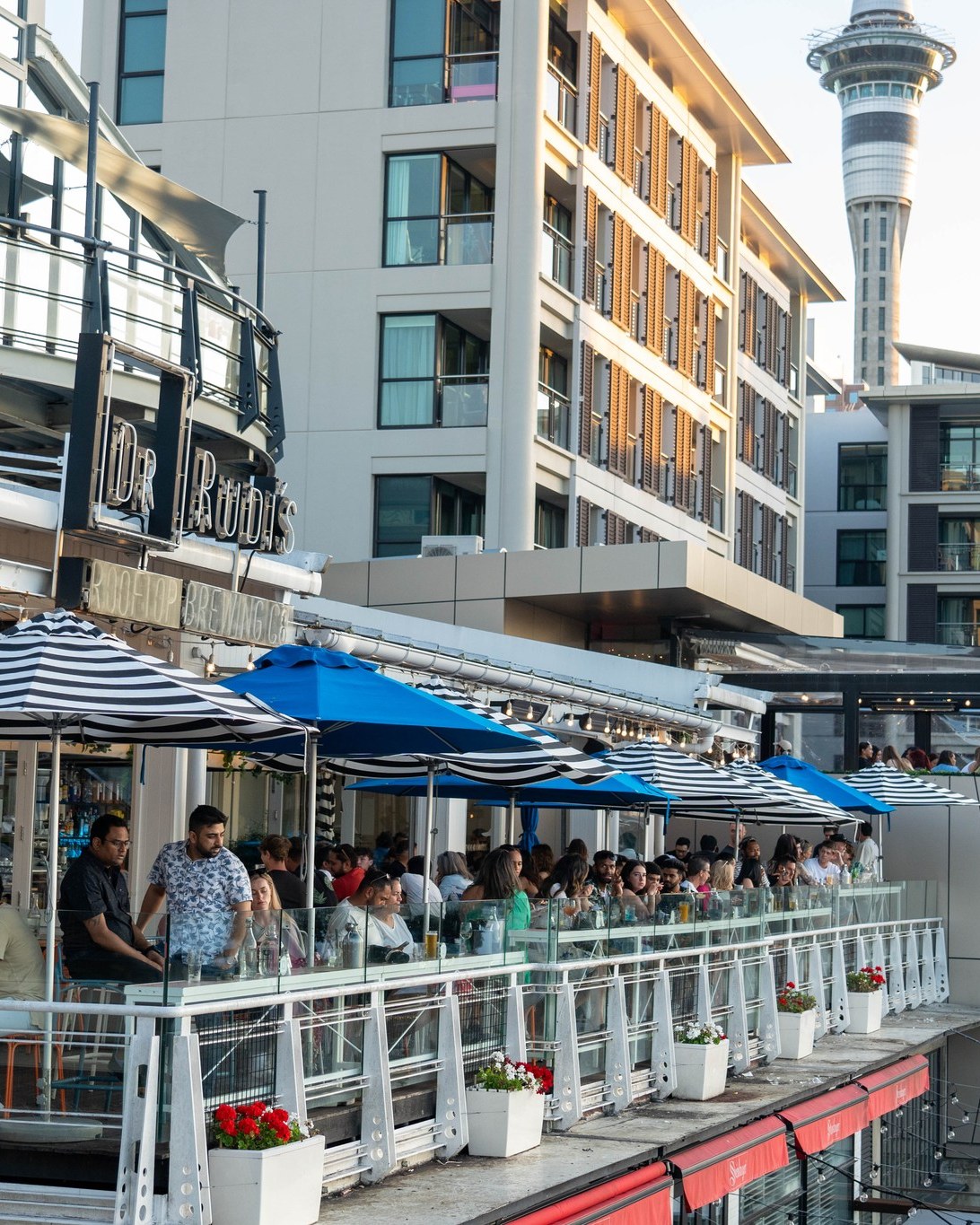 Dr Rudi's Rooftop Brewing Co. | Auckland
