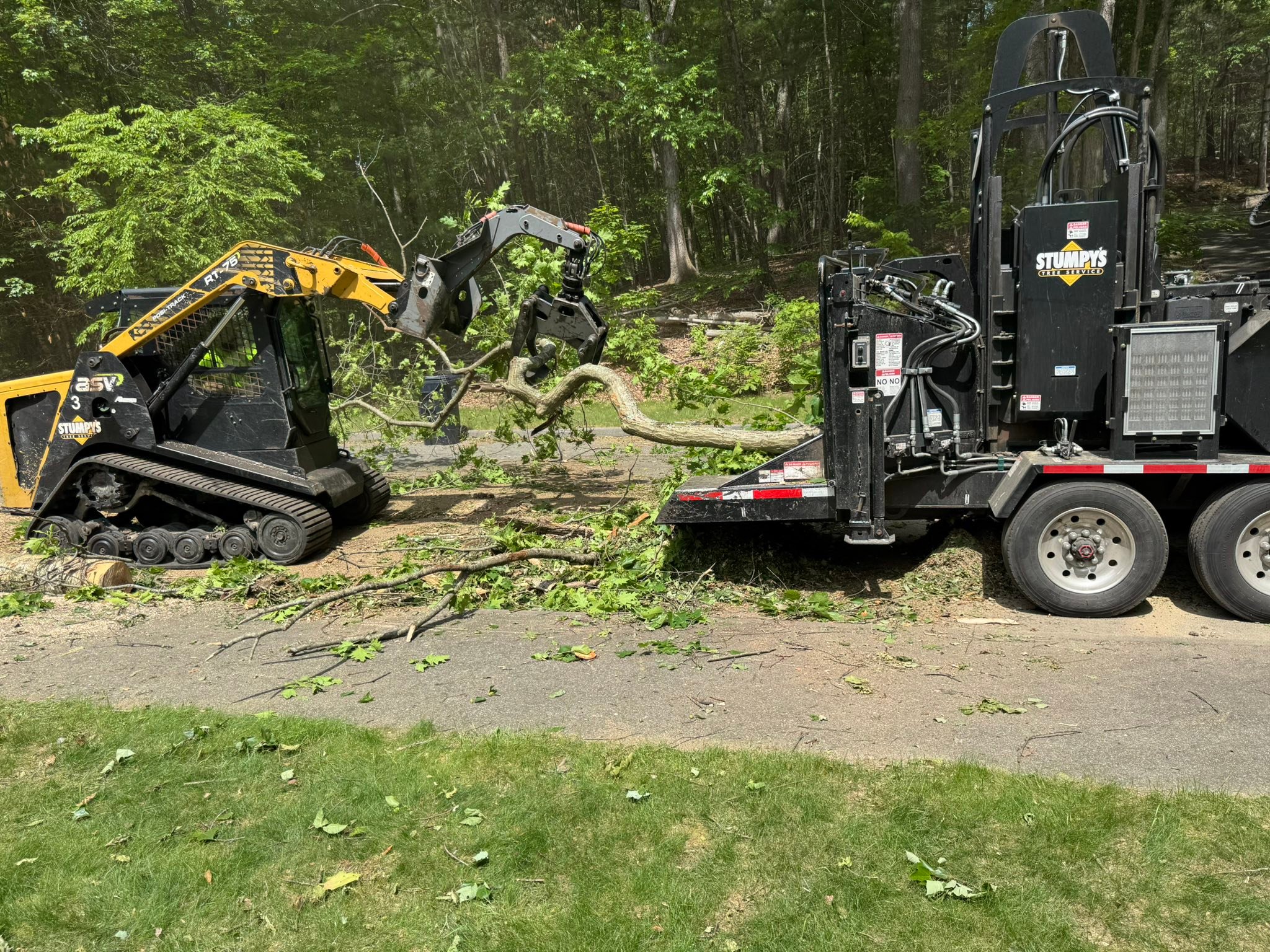 Stumpy's Tree Service | Ashland MA