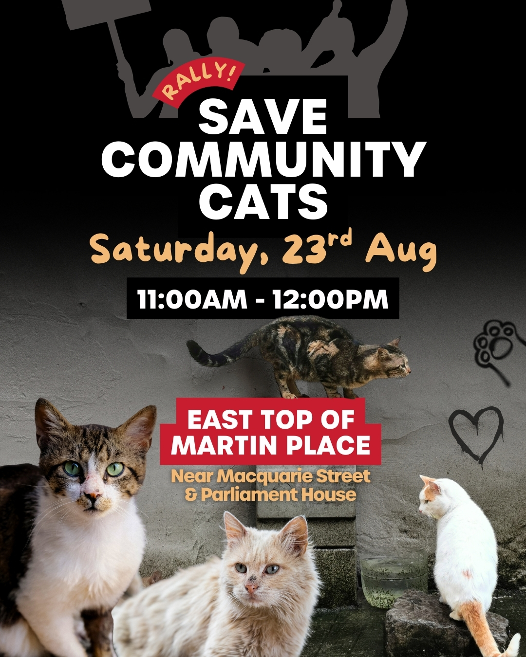 Stand Up for Community Cats... - Animal Justice Party NSW | Facebook